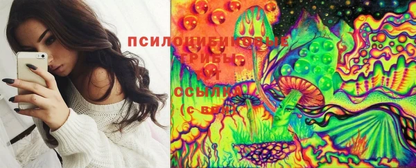 сатива Бронницы