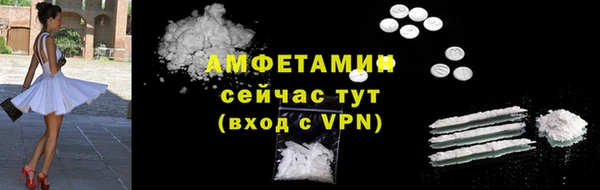 сатива Бронницы