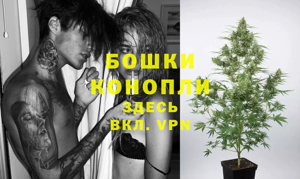 ГАЛЛЮЦИНОГЕННЫЕ ГРИБЫ Бугульма