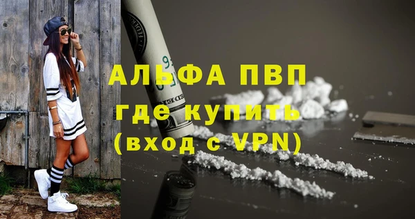 сатива Бронницы