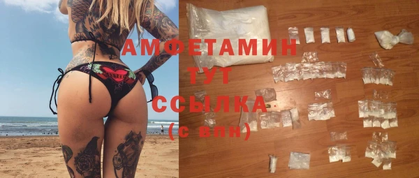 сатива Бронницы