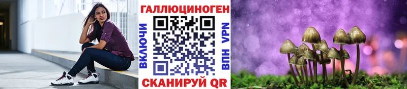МЕГА маркетплейс  Верхняя Пышма  Псилоцибиновые грибы Psilocybe 